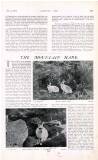 Country Life Saturday 04 May 1907 Page 53