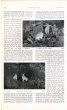 Country Life Saturday 04 May 1907 Page 54