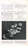 Country Life Saturday 04 May 1907 Page 55