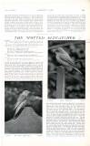 Country Life Saturday 15 June 1907 Page 51