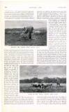 Country Life Saturday 22 June 1907 Page 78