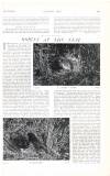 Country Life Saturday 27 July 1907 Page 47