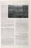 Country Life Saturday 21 March 1908 Page 53