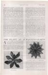 Country Life Saturday 21 March 1908 Page 64