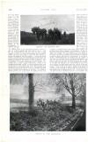 Country Life Saturday 21 November 1908 Page 42