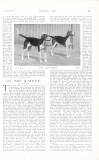 Country Life Saturday 21 November 1908 Page 49