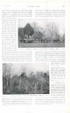 Country Life Saturday 28 November 1908 Page 49