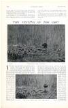 Country Life Saturday 17 April 1909 Page 50