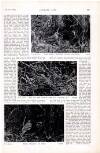 Country Life Saturday 14 August 1909 Page 47