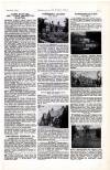 Country Life Saturday 28 August 1909 Page 25