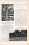 Country Life Saturday 27 November 1909 Page 73