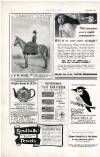 Country Life Saturday 29 January 1910 Page 90