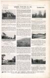 Country Life Saturday 05 March 1910 Page 5