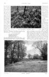 Country Life Saturday 02 April 1910 Page 6