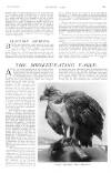 Country Life Saturday 09 April 1910 Page 27