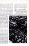 Country Life Saturday 23 April 1910 Page 55