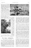 Country Life Saturday 28 May 1910 Page 15