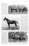 Country Life Saturday 11 June 1910 Page 6