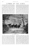 Country Life Saturday 18 June 1910 Page 42