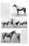 Country Life Saturday 18 June 1910 Page 47