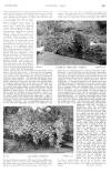 Country Life Saturday 25 June 1910 Page 8