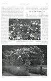 Country Life Saturday 30 July 1910 Page 23