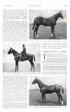 Country Life Saturday 15 October 1910 Page 37