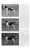 Country Life Saturday 03 December 1910 Page 64