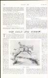 Country Life Saturday 16 December 1911 Page 28