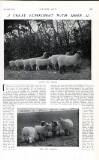 Country Life Saturday 30 December 1911 Page 5