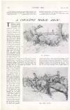 Country Life Saturday 04 May 1912 Page 64