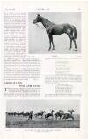 Country Life Saturday 11 May 1912 Page 103