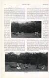 Country Life Saturday 03 August 1912 Page 78