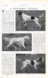 Country Life Saturday 24 August 1912 Page 41