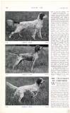 Country Life Saturday 24 August 1912 Page 42