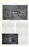 Country Life Saturday 28 September 1912 Page 54