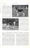 Country Life Saturday 19 October 1912 Page 61