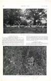 Country Life Saturday 19 October 1912 Page 92