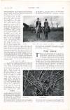 Country Life Saturday 11 January 1913 Page 37