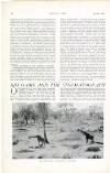 Country Life Saturday 18 January 1913 Page 38
