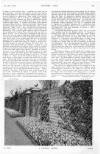 Country Life Saturday 22 February 1913 Page 19