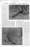 Country Life Saturday 15 March 1913 Page 16