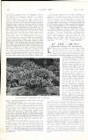 Country Life Saturday 03 May 1913 Page 84