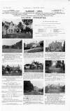 Country Life Saturday 17 May 1913 Page 49