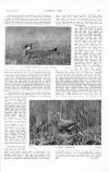Country Life Saturday 17 May 1913 Page 123
