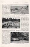 Country Life Saturday 05 July 1913 Page 70