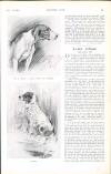 Country Life Saturday 02 August 1913 Page 47