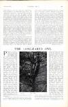 Country Life Saturday 02 August 1913 Page 49