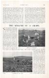 Country Life Saturday 15 November 1913 Page 71