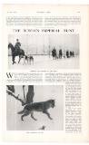 Country Life Saturday 29 November 1913 Page 41